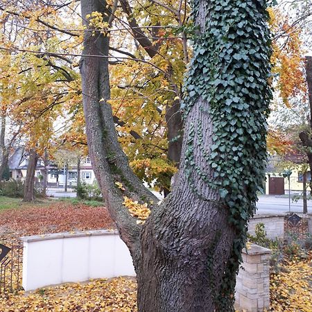 Cafe Hehrlich - Cafe, Pension & Mehr Bad Tennstedt ภายนอก รูปภาพ